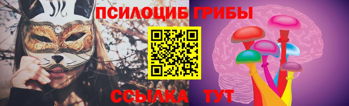 где купить наркотик  Вход с VPN  Севастополь  Псилоцибиновые грибы GOLDEN TEACHER 